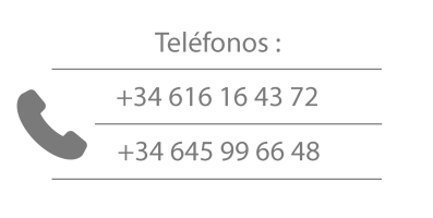Teléfonos IP